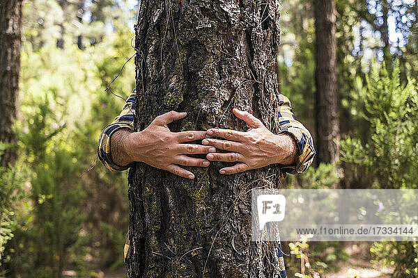 Die Hand eines Mannes umarmt einen Baumstamm im Wald