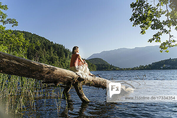 Frau sitzt auf einem umgestürzten Baum am See an einem sonnigen Tag