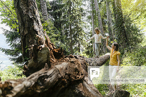Mother holding hand of daughter balancing on fallen tree at forest
