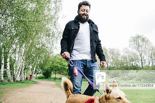 Mann hält Leine  während er mit seinem Hund auf dem Fußweg im Park spazieren geht