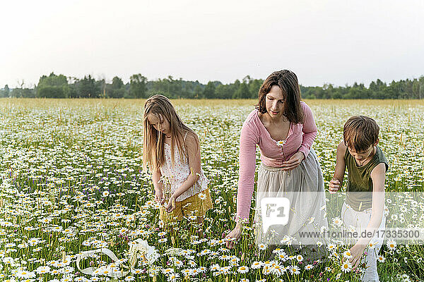 Frau und Kinder pflücken Blumen auf einem Feld