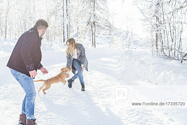 Freund und Freundin spielen mit Hund im Schnee im Urlaub