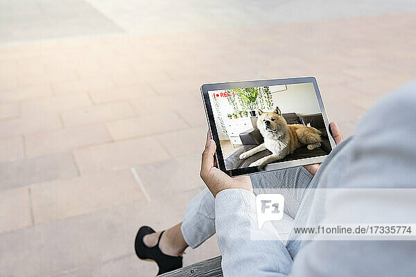Geschäftsfrau bewacht Haustier durch Smart Home Tablet im Büropark