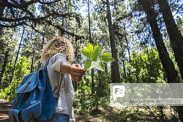 Reife Frau  die ein grünes Blatt hält  während sie im Wald steht