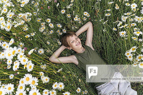 Lächelnder Junge mit Händen hinter dem Kopf auf Kamillenpflanzen im Feld liegend