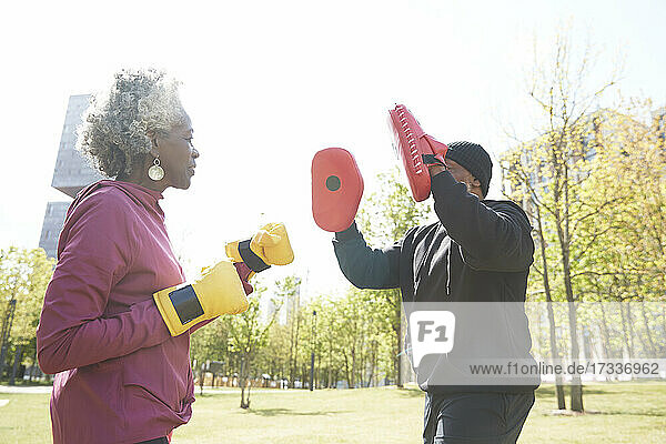 Paar mit Boxhandschuhen beim Üben im Park an einem sonnigen Tag