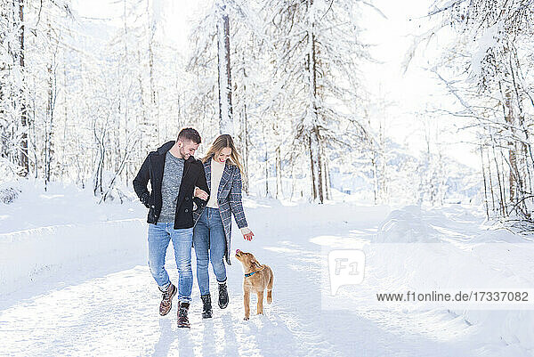 Freund und Freundin spazieren im Schnee mit Hund im Urlaub