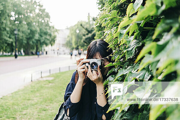 Female photographer photographing by fresh plants