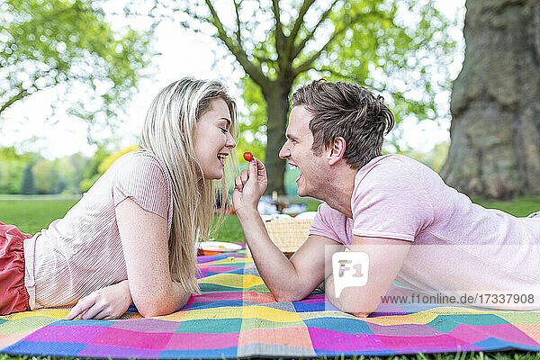 Fröhlicher Freund füttert seine Freundin mit Kirschen  während er auf einer Picknick-Decke liegt