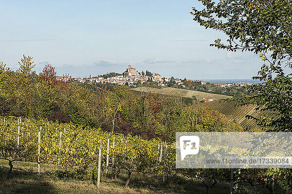 Italien  Piemont  Monferrato  Landschaft mit Weinbergen um Ozzano Monferrato