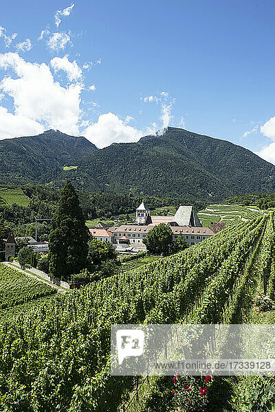 Italien  Südtirol  Brixen  Abtei Novacella und Weinberge