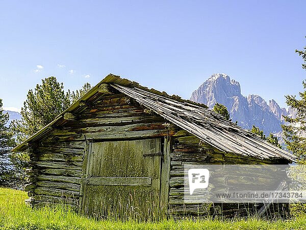 Alpine hut  behind the Sassolungo  Dolomites  South Tyrol  Italy  Europe