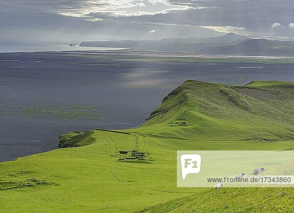Alte Hofstelle am Hjörleifshöfdi (Wikingergrab)  Mýrdalur  Suðurland  Island  Europa