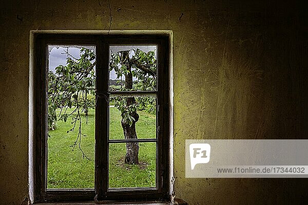 Ein Fenster mit Glasscherben an der Wand  verlassener Bauernhof. Kaschubei  Polen  Europa