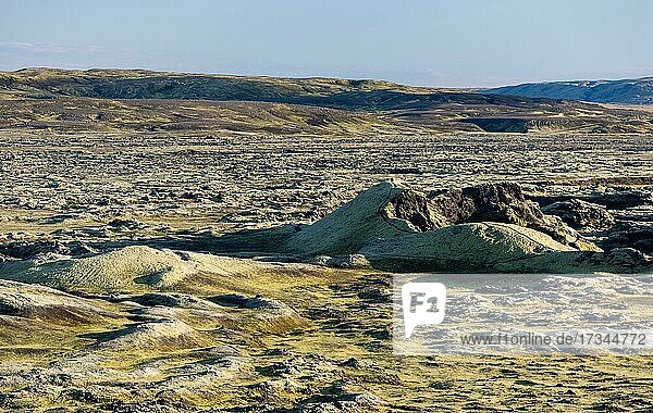 Mit Moos bewachsene Laki-Krater oder Lakagígar  Kraterreihe  Hochland  Süd-Island  Suðurland  Island  Europa