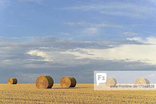 Getreidefeld  Stoppelfeld mit runden Strohballen  blauer Wolkenhimmel  Nordrhein-Westfalen  Deutschland  Europa