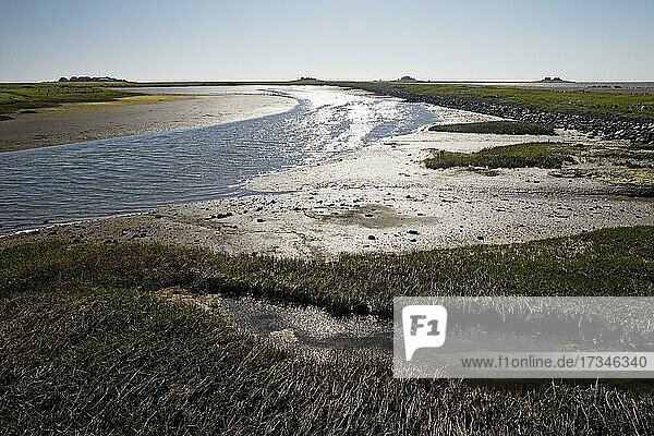 Landscape with tidal flat and mudflats  Hallig Hooge  North Frisia  Schleswig-Holstein  Germany  Europe
