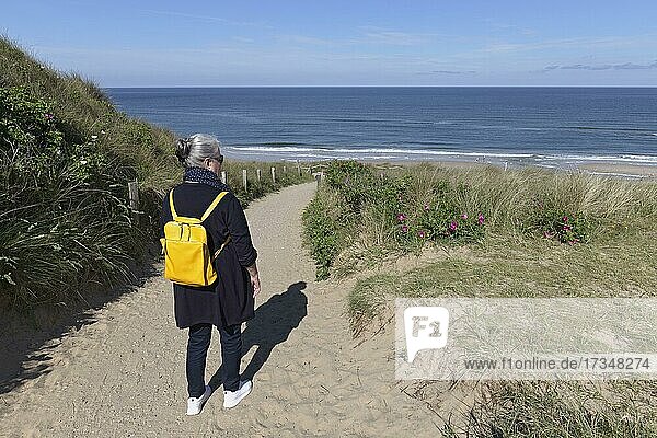Senior woman with yellow backpack walking on path through dunes  looking at sea  Wenningstedt on Sylt  North Frisian Islands  Schleswig-Holstein  Germany  Europe