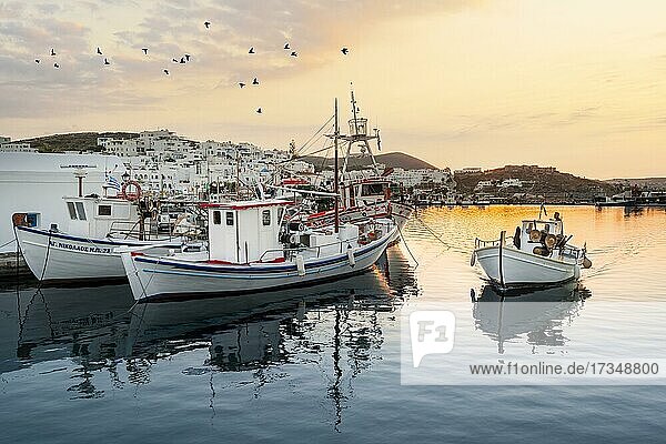 Abendstimmung  Hafen mit Fischerbooten  Hafenstadt Naoussa  Insel Paros  Kykladen  Griechenland  Europa