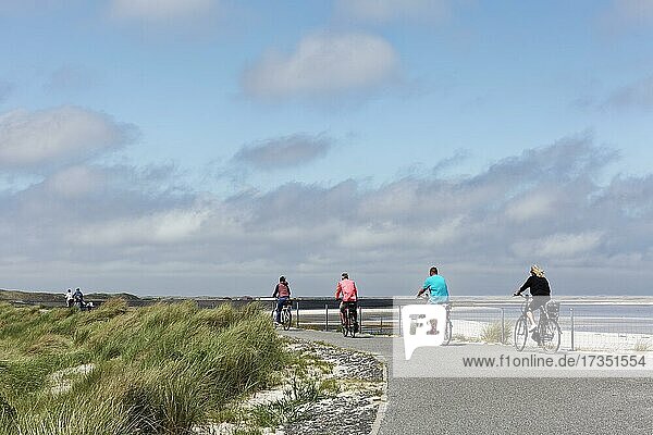 Tourists cycling on the Mövenberg dike  cycle path in the Schleswig-Holstein Wadden Sea National Park  List on Sylt  East Frisian Islands  Schleswig-Holstein  Germany  Europe