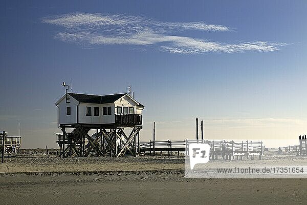 Pfahlbau im Watt bei Ebbe  Sankt Peter-Ording  Nationalpark Wattenmeer  Nordsee  Nordfriesland  Schleswig-Holstein  Deutschland  Europa