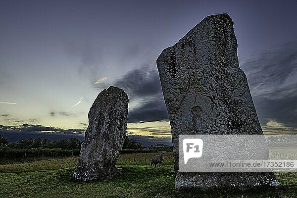 Avebury  Stehende Steine  Neolithisch  Prähistorisch  Sonnenuntergang  Wiltshire  England  Großbritannien  Europa