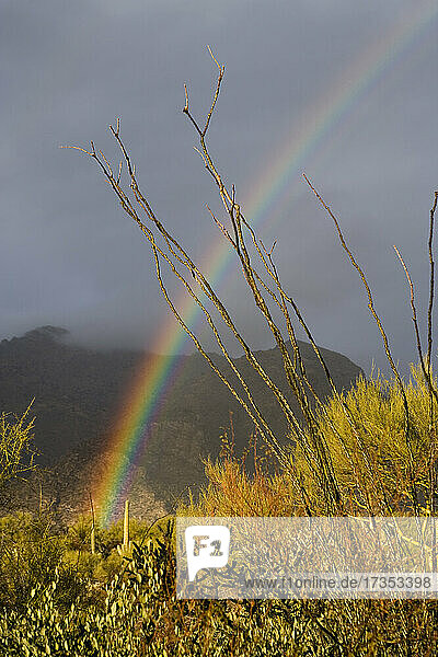 USA  Arizona  Tucson  Rainbow in landscape with mountains in background