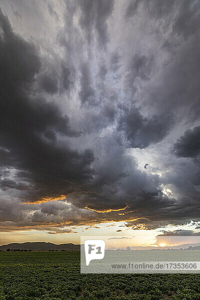 Usa  Idaho  Bellevue  Storm clouds over fields at sunset