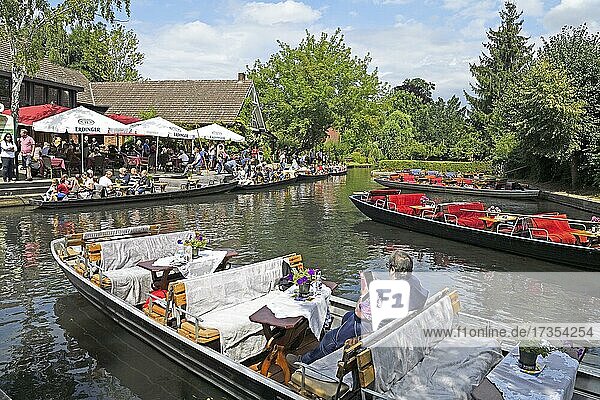 Tourists in Spreewald barges in the village of Lehde  Brandenburg  Germany  Europe