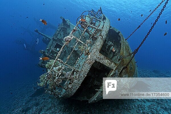 Cedar Pride  Stern  Wreck  Shipwreck  Red Sea  Aqaba  Jordan  Asia