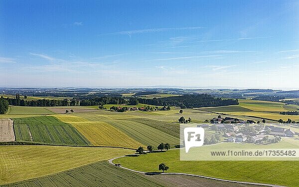 Drohnenaufnahme  Agrarlandschaft  Landwirtschaftliche Felder mit Bauernhöfen bei Waldzell  Innviertel  Oberösterreich  Österreich  Europa