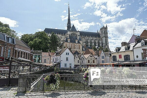 Notre Dame d' Amiens  Kathedrale von Amiens  gehört zum Unesco-Welterbe  Amiens  Somme  Region Hauts-de-France  Frankreich  Europa