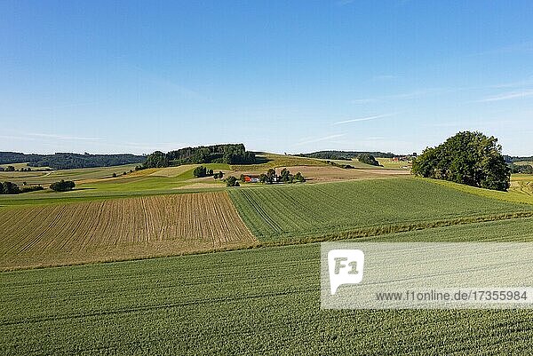 Agrarlandschaft  Landwirtschaftliche Felder mit Bauernhof bei Waldzell  Innviertel  Oberösterreich  Österreich  Europa