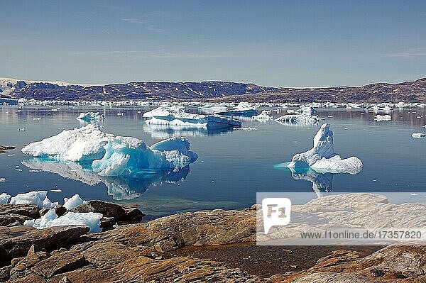 Karge Felsen vor Eisbergen  die sich spiegeln im Wasser eines Fjordes  menschenleere  wilde Landschaft im Hintergrund  Arktis  Tiniteqilaaq  Ostgrönland  Dänemark  Europa