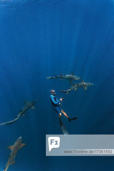 Junger Mann im Neoprenanzug beim Schnorcheln mit Ammenhaien unter Wasser