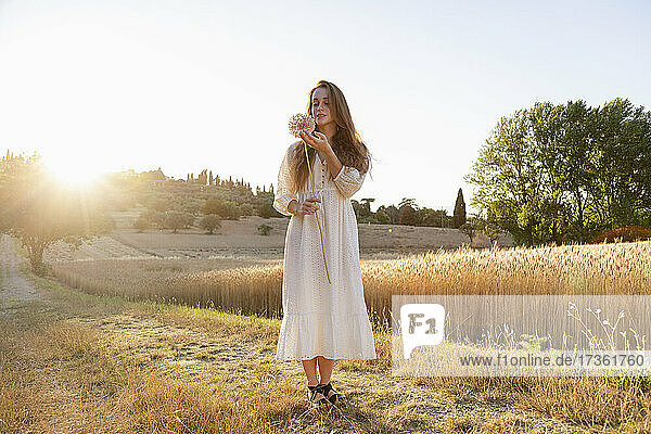 Junge Frau bewundert eine Knoblauchblüte auf einem Weizenfeld an einem sonnigen Tag