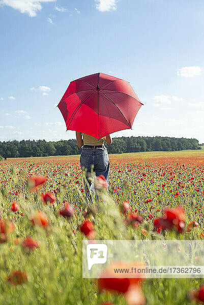 Mädchen mit rotem Regenschirm im Mohnfeld