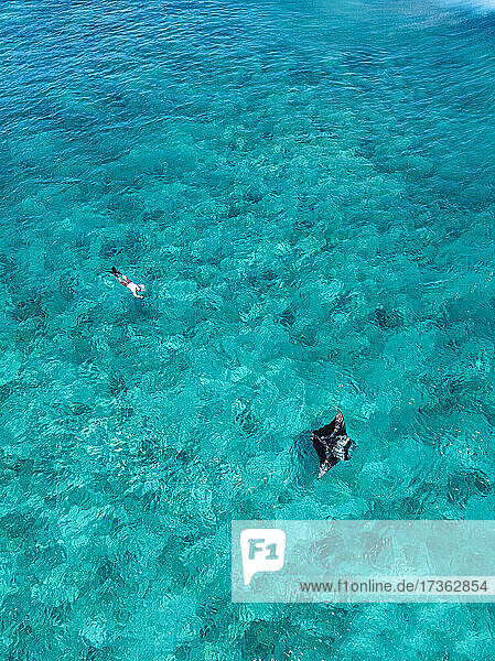 Aerial view of man swimming toward manta ray in South Male Atoll