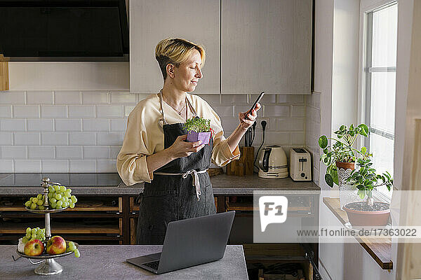 Reife Geschäftsfrau  die eine Kressepflanze hält  während sie zu Hause ein Mobiltelefon benutzt