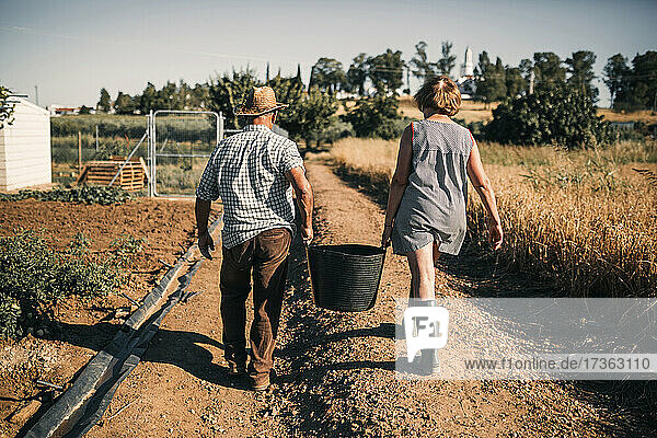 Arbeitendes älteres Paar  das einen Korb hält  während es an einem sonnigen Tag auf einem Feld spazieren geht