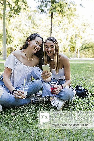 Young female friends sharing smart phone while sitting at public park