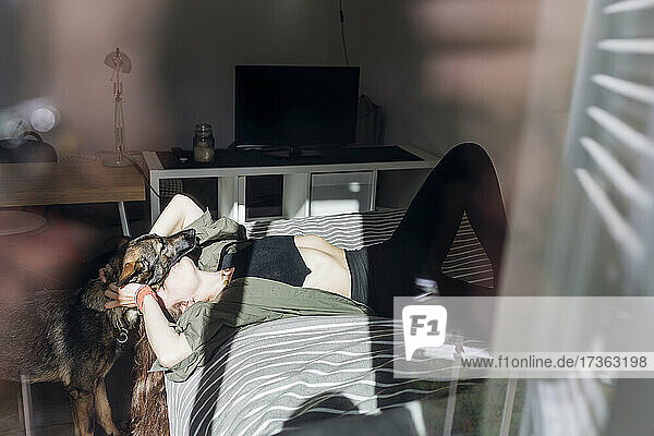 Frau küsst deutschen Schäferhund auf dem Bett liegend vom Fenster aus gesehen
