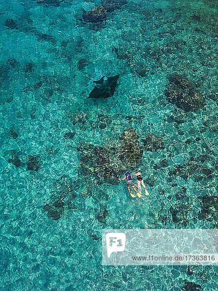 Luftaufnahme von zwei Menschen schwimmen in der Nähe von Mantarochen in türkisfarbenen Gewässern des Pazifischen Ozeans