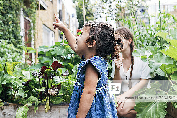 Tochter  die auf etwas zeigt  während sie mit ihrer Mutter im Hintergrund im Gemüsegarten steht