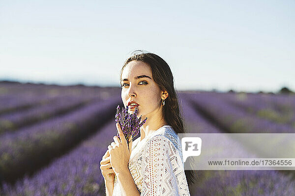 Junge Frau  die in einem Lavendelfeld Blumen hält und nachdenkt