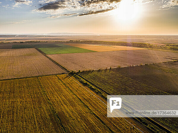 Agricultural fields during sunset  Vojvodina  Serbia