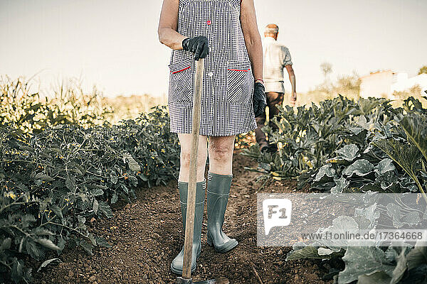 Weibliche Landarbeiterin hält eine Schaufel in der Hand  während sie auf einer Gemüsefarm steht