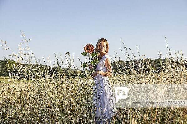 Junge Frau schaut weg  während sie eine Sonnenblume im Feld hält
