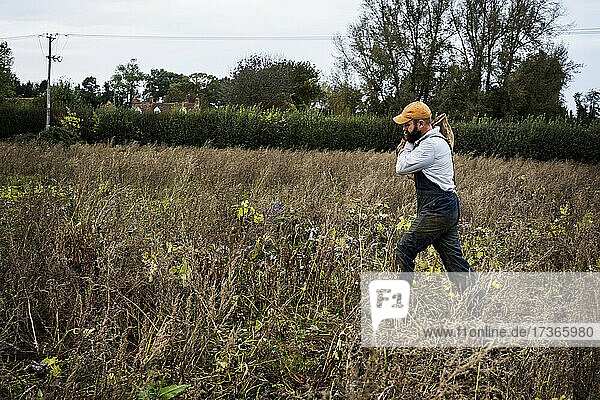 Ein Bauer geht über ein Feld und trägt eine Papiertüte mit frisch gepflückten Kürbissen.