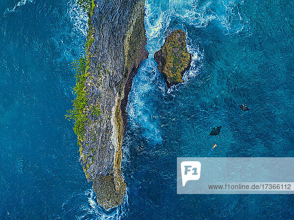 Luftaufnahme eines Mannes  der mit Mantarochen in der Nähe der Küstenklippe der Insel Nusa Penida schwimmt